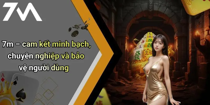 7m – cam kết minh bạch, chuyên nghiệp và bảo vệ người dùng