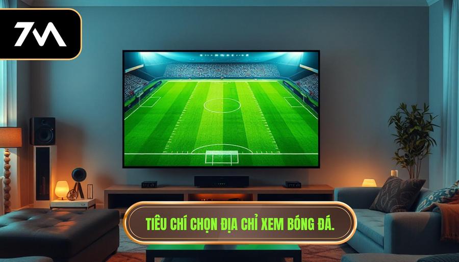 Những tiêu chí lựa chọn địa chỉ xem bóng đá trực tiếp uy tín