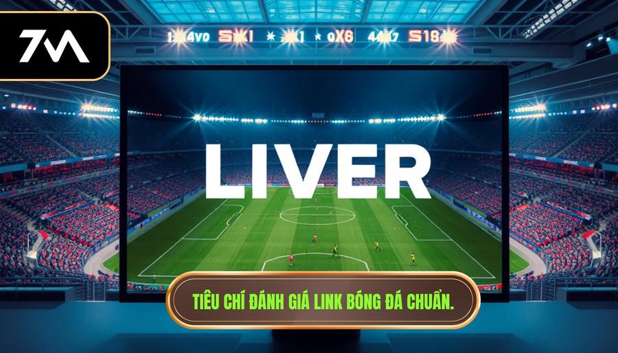 Những tiêu chí đánh giá một link xem bóng đá chất lượng