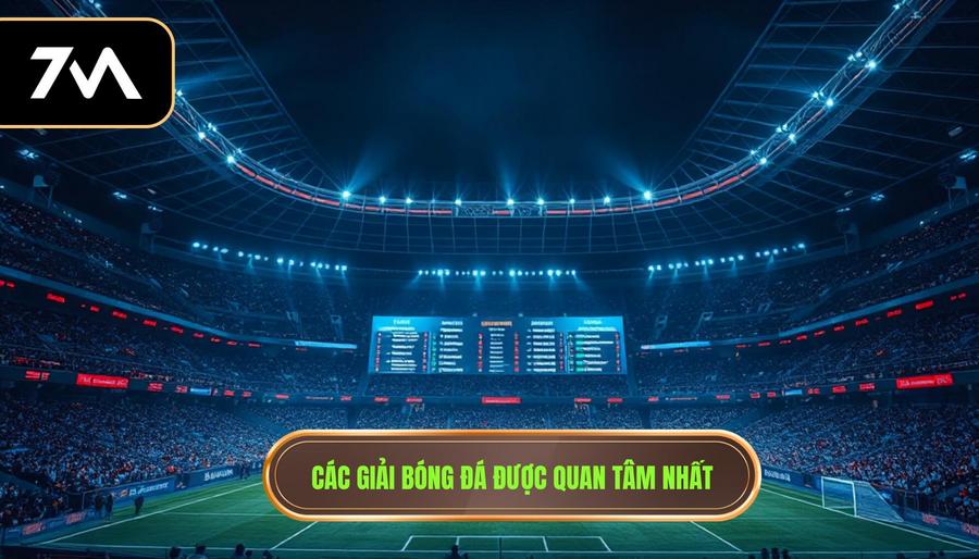 Những giải đấu có bảng xếp hạng bóng đá được quan tâm nhất
